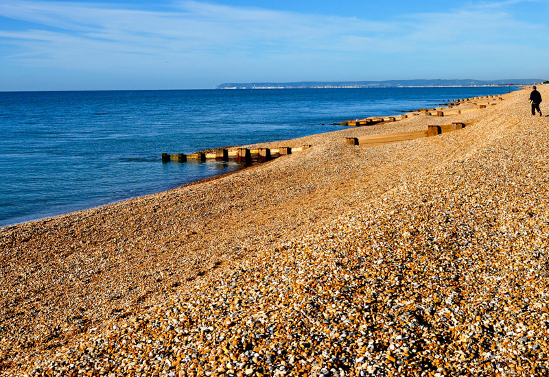 Despite its beauty, Seaford Beach is not immune to the scourge of pollution
